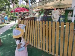 -萌宠亲子动物乐园(槐房万达店)