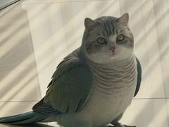 -八珍·广式煎饺·广州老字号(北京路总店)