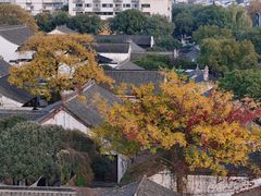 -绍兴鲁迅故里·沈园景区