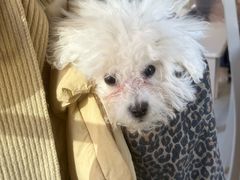 -宠颐生汉谟拉比宠物医院