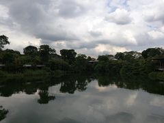-河川生态园