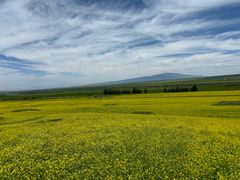-扁都口生态休闲旅游区