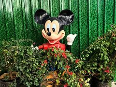 -顺德大良半月城游乐场