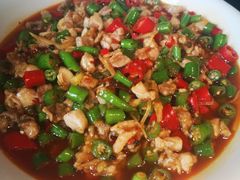 -陈麻婆豆腐总店