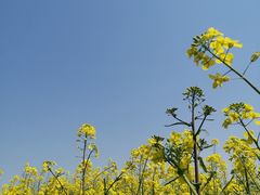 -同济大学(嘉定校区)