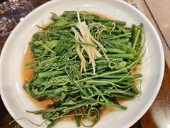 白灼丝瓜尖-烤肉季饭庄