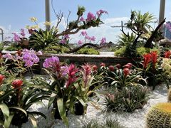-昆明滇池国际会展中心
