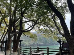 -白马涧龙池景区