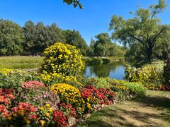 -上海共青森林公园