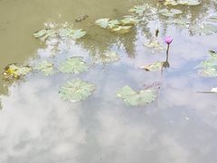 -广州市白云山风景名胜区