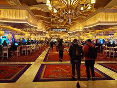 -拉斯维加斯永利酒店