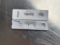 -派联宠物医院·24h·CT·异宠