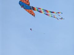 -西山漾湿地公园