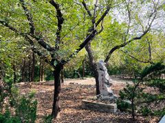 -四门塔风景区