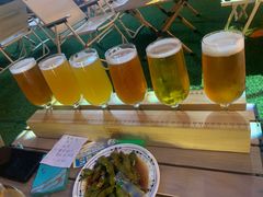 -麦落精酿啤酒餐吧(先农大院店)