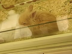 -龙猫仔乐园(惠福东路店)