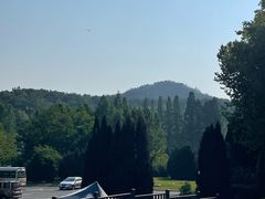 -棒棰岛宾馆景区