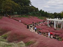 -牛岗山公园