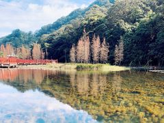-广州市石门国家森林公园