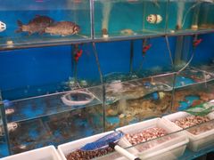 水产区-红灯笼龙凤饭店(宁波老字号店)