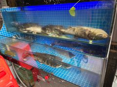 水产区-佤家大院(南门店)