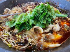 -都江堰石锅鱼