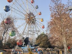 -长乐公园游乐场