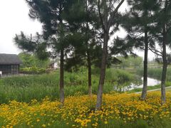 -尚贤河湿地