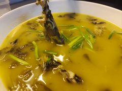 -成都芙蓉饭店蓉国食府·精品川菜·竹山珍·鱼鲜