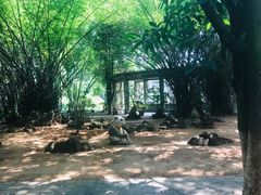 -攀枝花公园