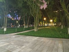 -重庆市江北嘴中央商务区中央公园