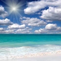 -薇兰专业脱毛连锁机构