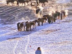 -塞罕坝国家级自然保护区