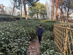 -野蔓果·山野菜(西湖景区·龙井茶田店)