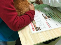 -圣宠动物医院·犬猫专科·影像中心·外科中心