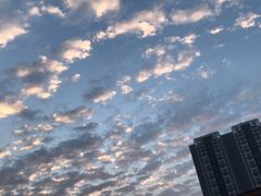 -广西大学(大学东路校区)