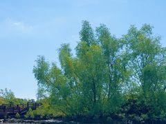 -东寨港红树林旅游区