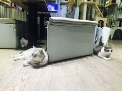 -小时光咖啡馆(开森度假森林店)