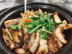 -朱记乳鸽王·非遗石岐乳鸽·全鸽宴(大兴旗舰店)