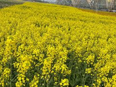 -中国天府农业博览园