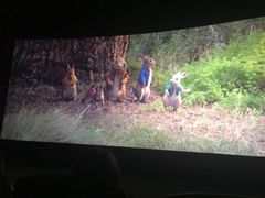 -上影国际影城(普陀绿地缤纷城店)