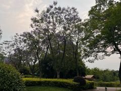 -眉山湿地公园(东坡区)