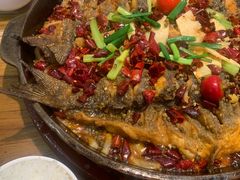 -老板恋上鱼(印象城店)