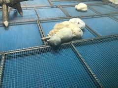 -泉城欧乐堡海洋极地世界