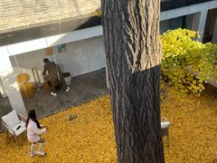 -自如ZSPACE四合院艺术餐厅