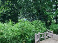 -成都市活水公园