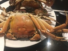 -烟台中泽华羿铂尔曼酒店·汇·全日餐厅·高空海景自助