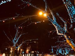 -索菲特西湖大酒店·香榭丽全日候餐厅(南山路店)