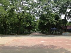 -渭滨公园