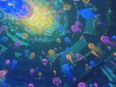 -海合安武汉极地海洋公园